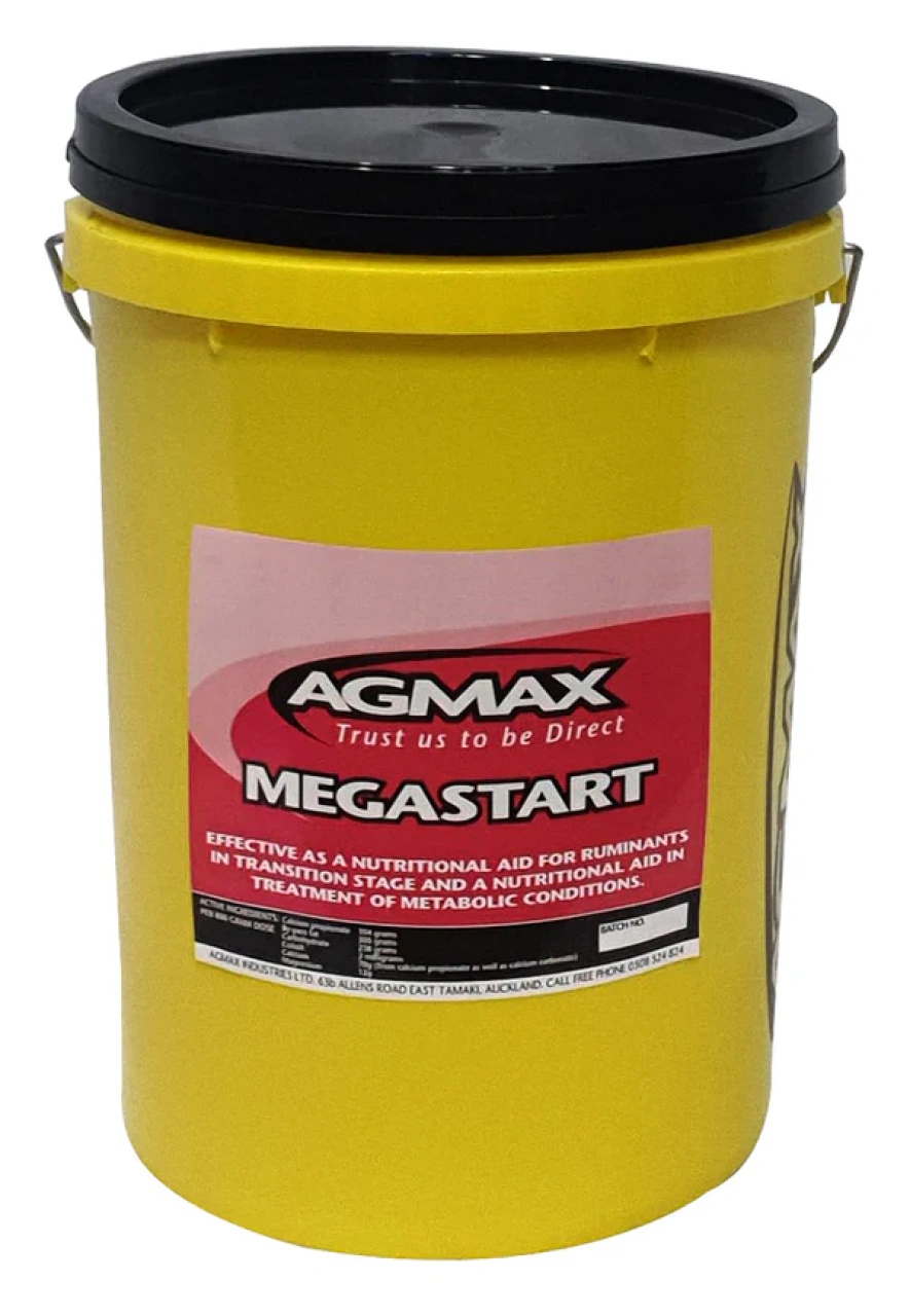 MegaStart